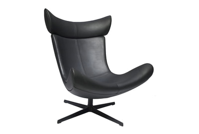 Кресло дизайнерское Toro FR 0490 - фото товара 1 из 6